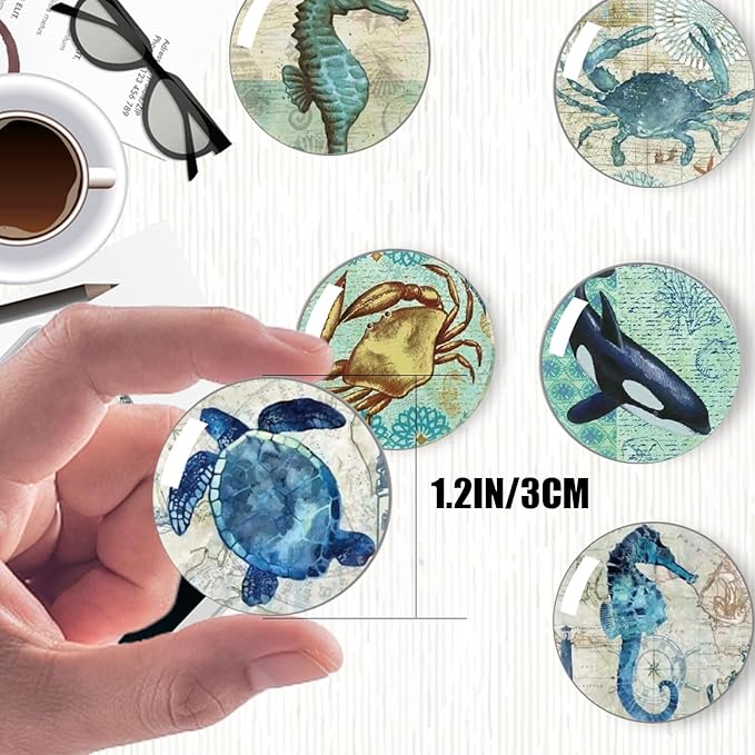 Strong Glass Refrigerator Stickers,12Pcs Magnets for Fridge,Funny Fridge Magnet Shape,Cute Small Tiny Magnet for Kitchen Whiteboard Door Decorative (Marine Animals Refrigerator Stickers)