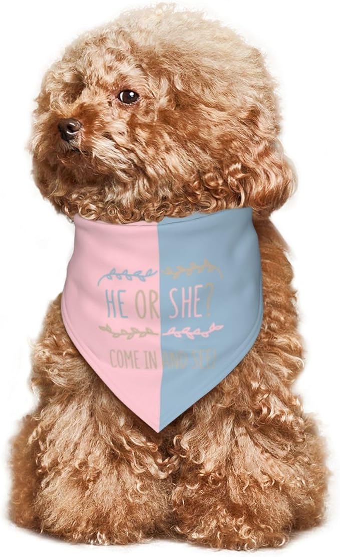 He Or She What Will It Be? Gender Reveal/Baby Announcement Dog Bandana,Pet Neckerchief for Pets Daily Wear Photo Prop Party Supplies (Light Color)