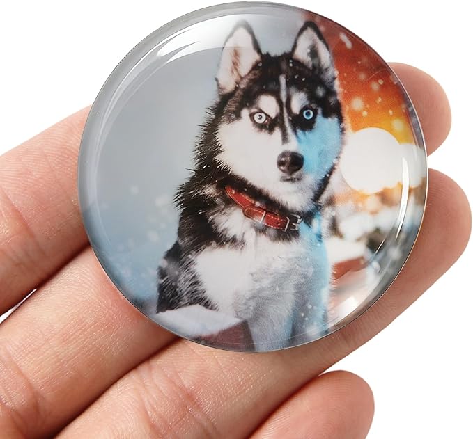 Cute Dog Fridge Magnets 4 Pack - WILMIN Round Glass Refrigerator Magnets, Dog Lover Gift with Multiple Color Backgrounds, 1.97 Inch Diameter, Strong Hold Decorative Magnets