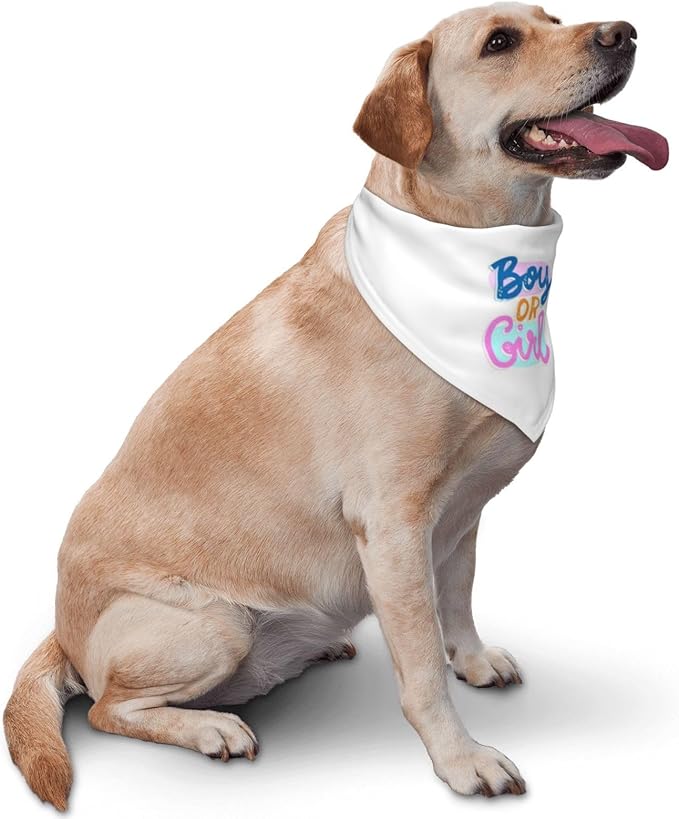He Or She What Will It Be? Gender Reveal/Baby Announcement Dog Bandana,Pet Neckerchief for Pets Daily Wear Photo Prop Party Supplies (White -2)