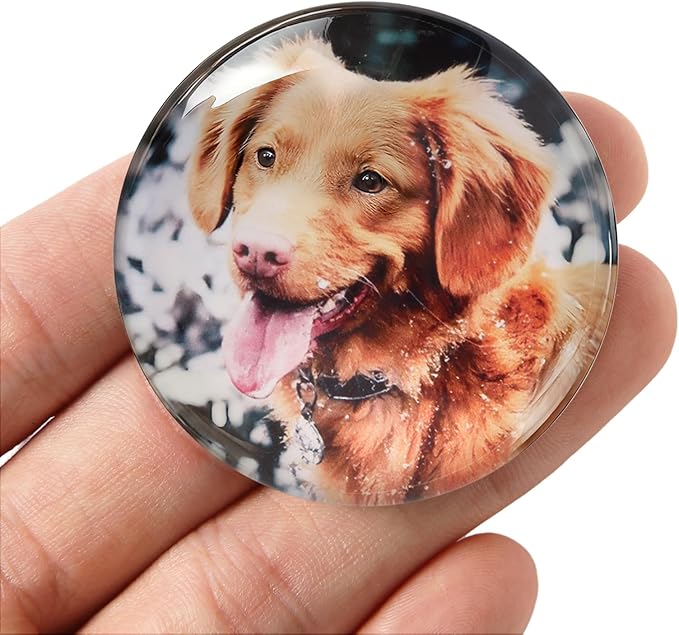 Cute Dog Fridge Magnets 4 Pack - WILMIN Round Glass Refrigerator Magnets, Dog Lover Gift with Multiple Color Backgrounds, 1.97 Inch Diameter, Strong Hold Decorative Magnets