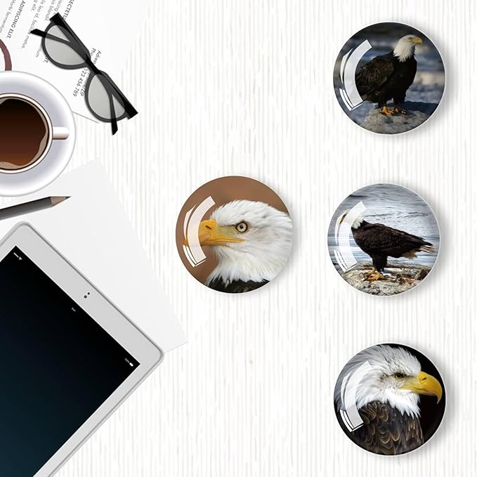 12Pcs Glass Refrigerator Magnets - Fridge Magnets Decoration for Classroom, Locker, Office Whiteboards, Cabinet, Dishwasher and Magnetic Surfaces (Eagle)