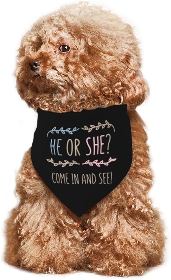 He Or She What Will It Be? Gender Reveal/Baby Announcement Dog Bandana,Pet Neckerchief for Pets Daily Wear Photo Prop Party Supplies (Light Color-Black)
