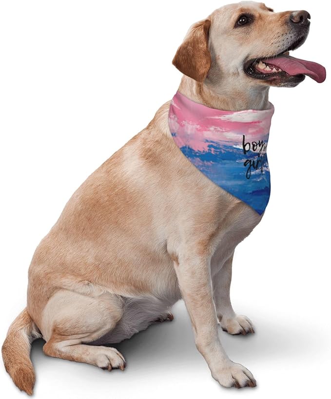 He Or She What Will It Be? Gender Reveal/Baby Announcement Dog Bandana,Pet Neckerchief for Pets Daily Wear Photo Prop Party Supplies (Oil Paint Style)