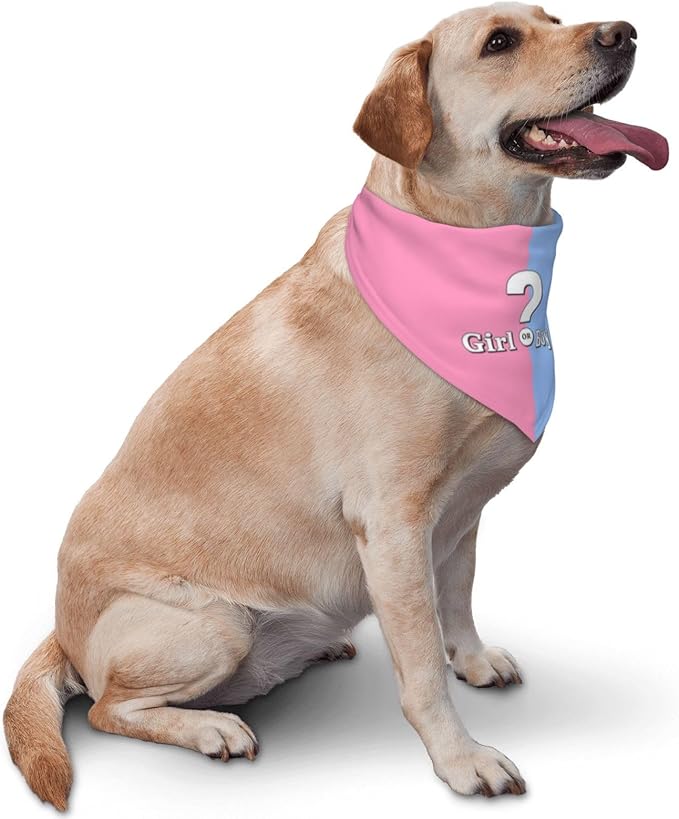 He Or She What Will It Be? Gender Reveal/Baby Announcement Dog Bandana,Pet Neckerchief for Pets Daily Wear Photo Prop Party Supplies (Pink)