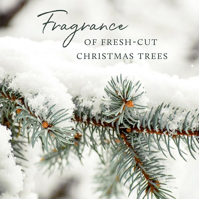 Thymes Frasier Fir Candle - Heritage Pine Needle Luminary Scented Candles - Elegant Pine Candle - Crisp Siberian Fir, Cedarwood & Sandalwood - Holiday Candles - Christmas Decor (Medium, 11.5 oz)