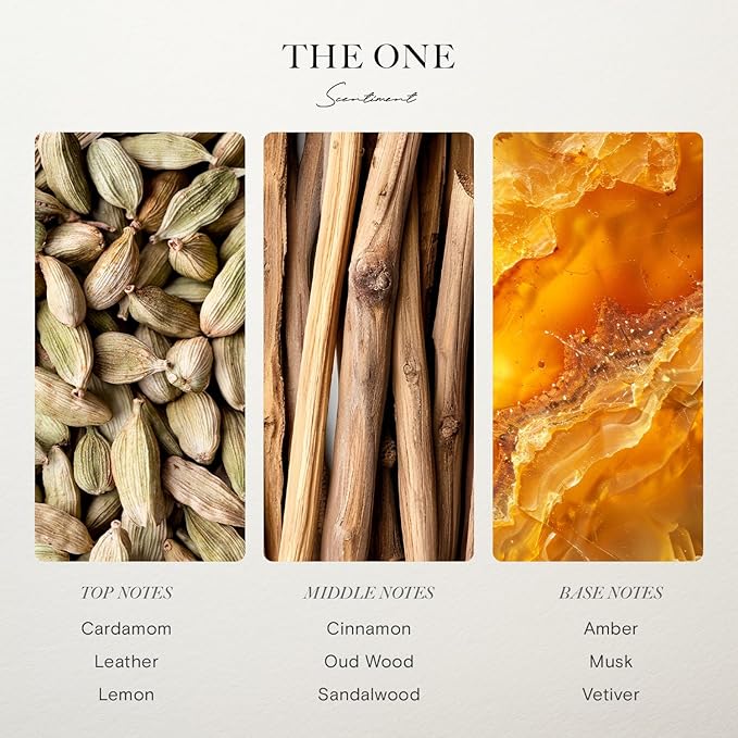 Scentiment Diffuser Oil - The One | Inspired by Luxury Five Star Hotel Lobby Scent | Aromatherapy Fragrance Oil | Notes of Cardamom, Leather, Lemon with Cinnamon & Sandalwood (50ml)