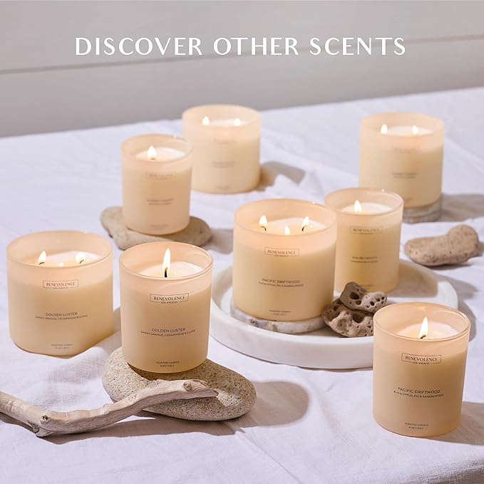 Champagne & Peony – Benevolence LA Large 3-Wick Scented Candle for Home | 15oz, 50-Hour Burn | Natural Soy Wax, Cotton Wicks | Gift Ideas for Women | Malibu Sands Collection
