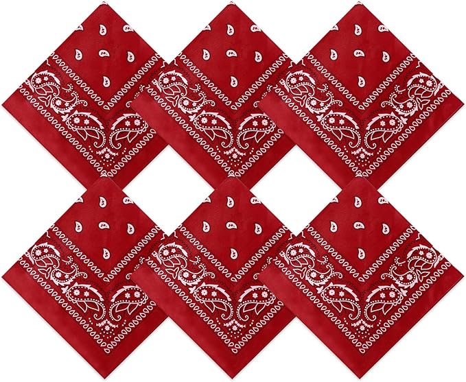 Blulu 6 Pcs Neon Color Cowboy Bandanas for Men Women Assorted Paisley Pattern Handkerchiefs 22 x 22 Inch Kids Headwrap Scarfs