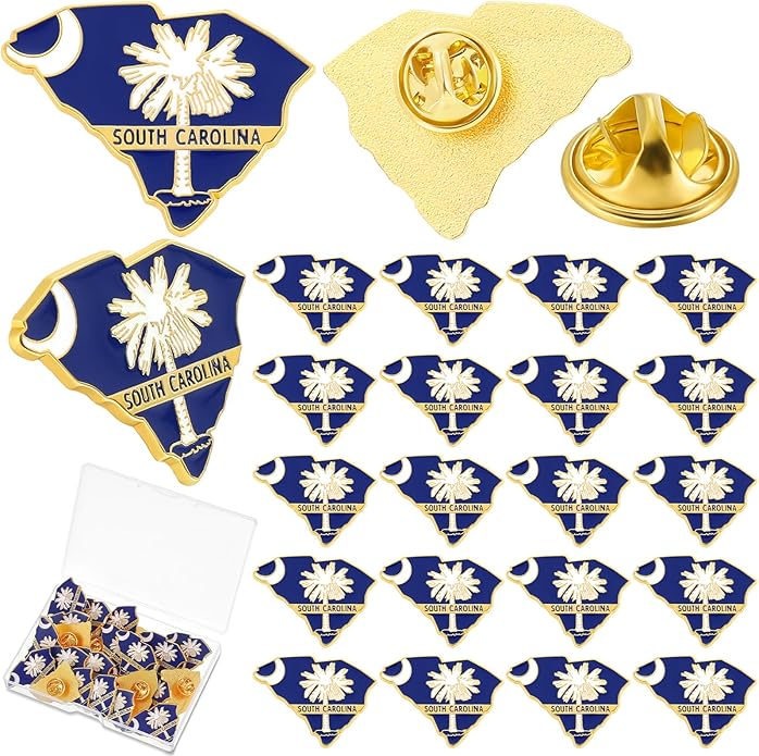 25 Pcs USA State Lapel Pins Bulk Texas California Florida Tennessee South Carolina Patriotic Traveler Souvenir Gifts