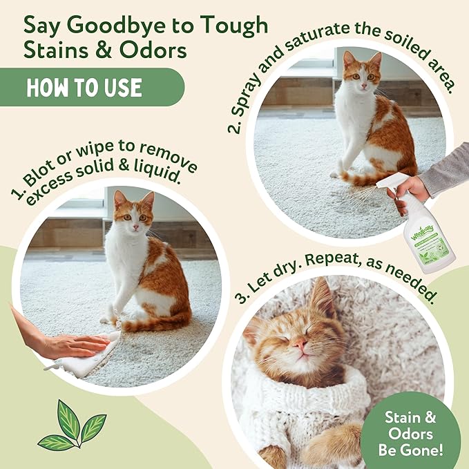 Wee Away X2 Ultra-Concentrated Stain & Strong Odor Eliminator, Enzyme Cleaner, Pet Odor Eliminator for Home - Cat & Kitten Urine Destroyer - Carpet Cleaner Spray, Green Tea, 16 fl oz