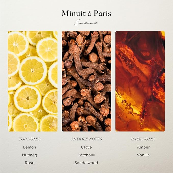 Scentiment Diffuser Oil - Minuit à Paris | Aromatherapy Home Fragrance | Inspired by Luxury Five Star Hotel Scents | Luxurious Scent with Notes of Amber, Sandalwood, Vanilla (20 mL)