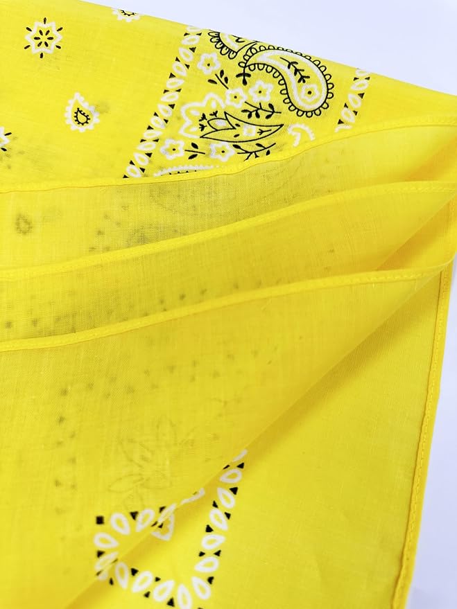 Vamqor Bandanas Gift Box 6 pack,Premium Super Soft 60s Cotton Paisley Bandannas Handkerchiefs for Men,Women and Kids