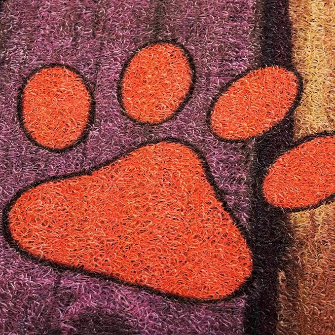 Darkyazi Colorful Doormats Entrance Front Door Rug Funny Outdoors/Indoor/Bathroom/Kitchen/Bedroom/Entryway Floor Mats，Non-Slip Polyvinyl Chloride (24"×16", Home)