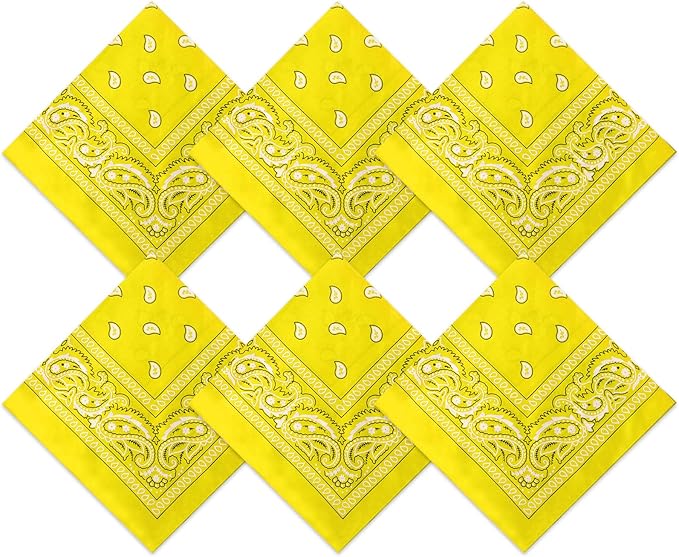 Blulu 6 Pcs Neon Color Cowboy Bandanas for Men Women Assorted Paisley Pattern Handkerchiefs 22 x 22 Inch Kids Headwrap Scarfs