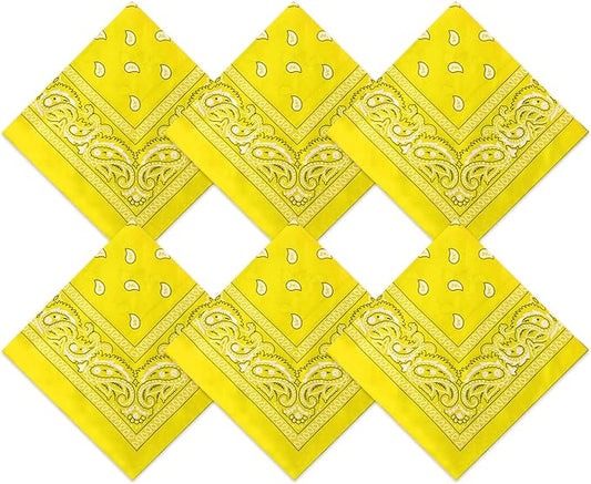 Blulu 6 Pcs Neon Color Cowboy Bandanas for Men Women Assorted Paisley Pattern Handkerchiefs 22 x 22 Inch Kids Headwrap Scarfs