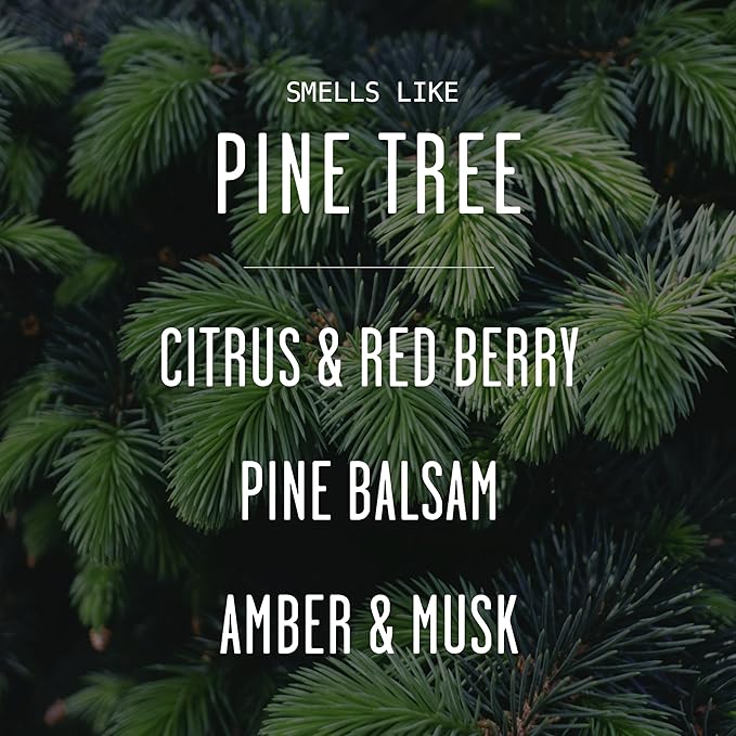 Pine Reed Diffuser, 'Pine Tree' - w/Balsam Fir, Cedar & Citrus I Infused w/Essential Oils I Christmas Diffuser Decor I 3.75 OZ Oil I Long-Lasting Scent Lasts 4-6 Month's I Made in The USA
