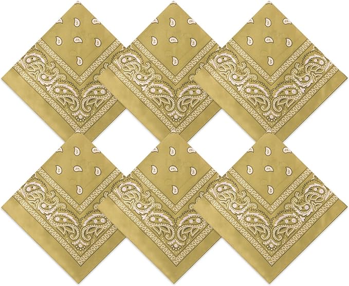 Blulu 6 Pcs Neon Color Cowboy Bandanas for Men Women Assorted Paisley Pattern Handkerchiefs 22 x 22 Inch Kids Headwrap Scarfs