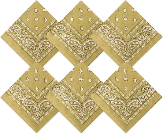 Blulu 6 Pcs Neon Color Cowboy Bandanas for Men Women Assorted Paisley Pattern Handkerchiefs 22 x 22 Inch Kids Headwrap Scarfs