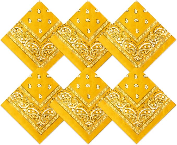 Blulu 6 Pcs Neon Color Cowboy Bandanas for Men Women Assorted Paisley Pattern Handkerchiefs 22 x 22 Inch Kids Headwrap Scarfs