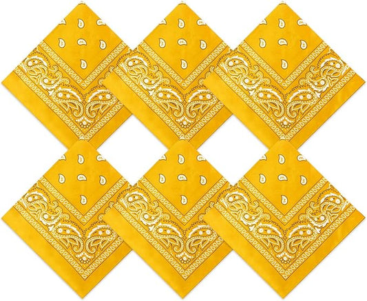 Blulu 6 Pcs Neon Color Cowboy Bandanas for Men Women Assorted Paisley Pattern Handkerchiefs 22 x 22 Inch Kids Headwrap Scarfs