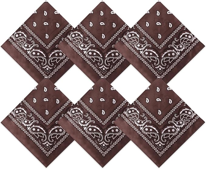 Blulu 6 Pcs Neon Color Cowboy Bandanas for Men Women Assorted Paisley Pattern Handkerchiefs 22 x 22 Inch Kids Headwrap Scarfs