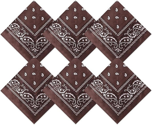 Blulu 6 Pcs Neon Color Cowboy Bandanas for Men Women Assorted Paisley Pattern Handkerchiefs 22 x 22 Inch Kids Headwrap Scarfs