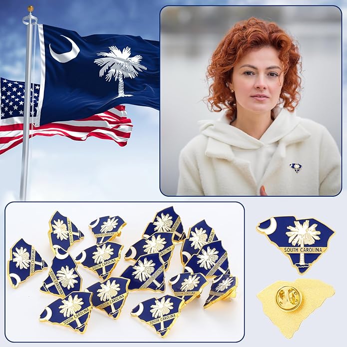 25 Pcs USA State Lapel Pins Bulk Texas California Florida Tennessee South Carolina Patriotic Traveler Souvenir Gifts