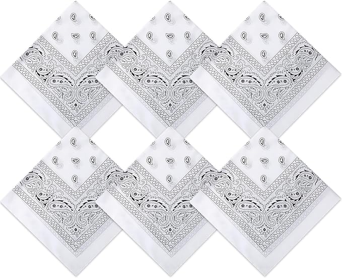 Blulu 6 Pcs Neon Color Cowboy Bandanas for Men Women Assorted Paisley Pattern Handkerchiefs 22 x 22 Inch Kids Headwrap Scarfs