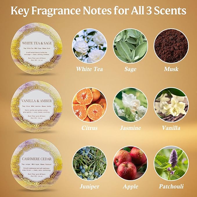 Candles, 3-Pack Large 3-Wick Tin Candle Set, 14oz Each — White Tea & Sage, Vanilla Amber, Cashmere Cedar — Luxury Strong-Throw Aromatherapy Candles in Gift Gold 6.3 x 7.09 in
