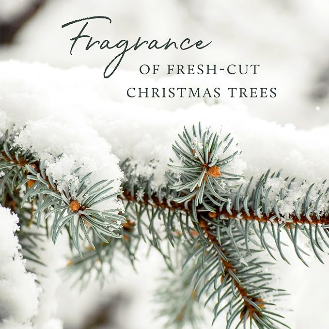 Thymes Frasier Fir Reed Diffuser Set – Includes Reeds, Fragrance Oil, and Frosted Glass Bottle – Fragrance Oil Diffuser – Room Fresheners – Luxury Home Decor – Green & Clear (Pine Needle, 4 fl oz)