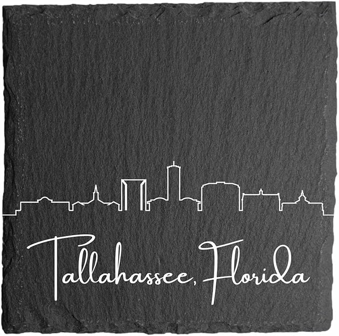 Blue Ridge Mountain Gifts - Tallahassee FL Skyline Coasters, Set of 4 - Tallahassee Florida Souvenir, Slate Coasters with Minimalist Skyline, Housewarming Gift for Friends, Family, & Neighbors