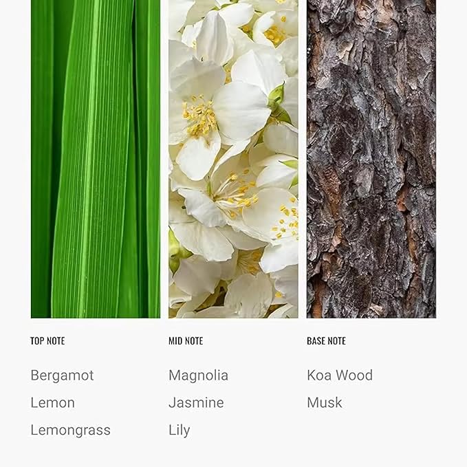 Luxury Hotel-Inspired Diffuser Oil 24K Magic 120ml – Citrus, Lemongrass, Jasmine – Inspired by W Hotels - Diffuser Refill Oil - Luxury Aromatherapy Oils - Home Fragrance Oils for Ultrasonic Diffusers