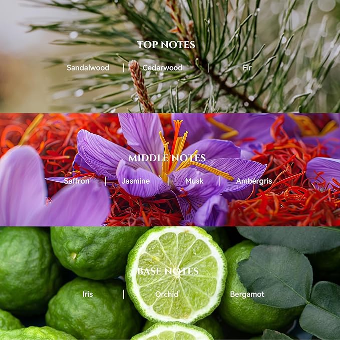 AROMADD Blacktail Ridge Diffuser Oil Inspired by Luxury Hotel Scent 3.38 Fl Oz (100ml), Aroma Diffuser & Hotel Fragrance Diffuser Oil, Essential Oil Diffuser for Aromatherapy, Long-Lasting