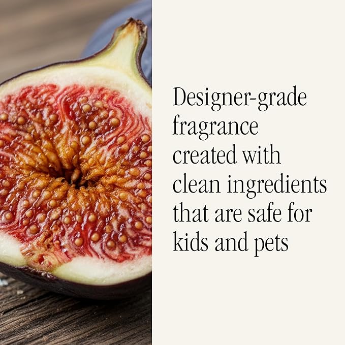 Pura x Studio McGee Home Scent Refill - Smart Air Diffuser - Up to 120-Hours of Luxury Fragrance per Refill - Home Essential - Clean & Safe Diffuser Fragrance - 2 Pack, Violet Fig