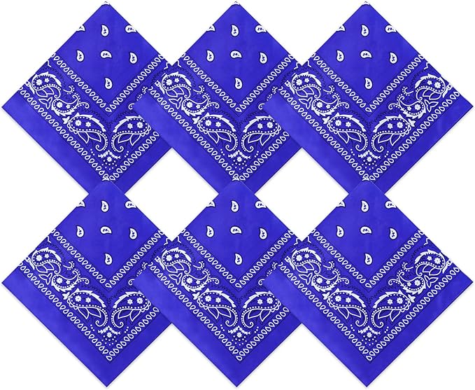 Blulu 6 Pcs Neon Color Cowboy Bandanas for Men Women Assorted Paisley Pattern Handkerchiefs 22 x 22 Inch Kids Headwrap Scarfs