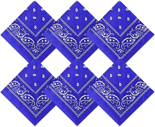 Blulu 6 Pcs Neon Color Cowboy Bandanas for Men Women Assorted Paisley Pattern Handkerchiefs 22 x 22 Inch Kids Headwrap Scarfs