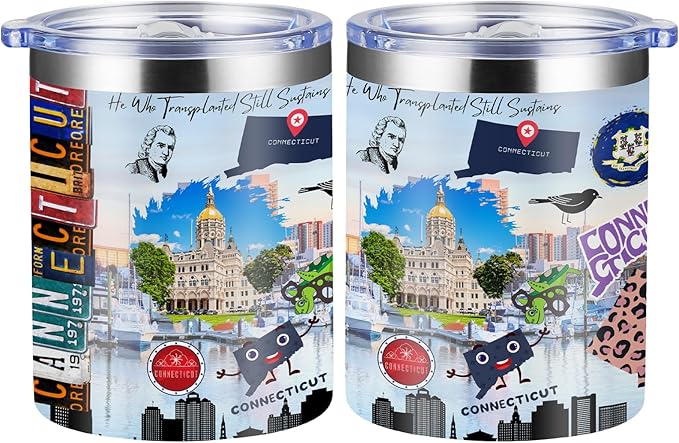 12oz Coffee Mug Connecticut State Insulated Coffee Cups, United States Map Travel Mug Landmark, Birthday Gifts Cute Mugs with Lid and Straw Mothers Day Gifts