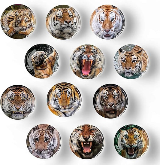 12Pcs Glass Refrigerator Magnets - Fridge Magnets Decoration for Classroom, Locker, Office Whiteboards, Cabinet, Dishwasher and Magnetic Surfaces (Tiger)