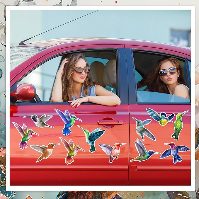 Xuhal 12 Pcs Cute Fridge Magnets Car Magnetic Sticker Refrigerator Magnets Fridge Decorations for Office Home Whiteboard Car Summer Decor(Hummingbird)