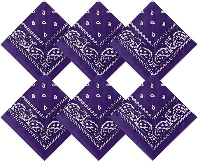 Blulu 6 Pcs Neon Color Cowboy Bandanas for Men Women Assorted Paisley Pattern Handkerchiefs 22 x 22 Inch Kids Headwrap Scarfs