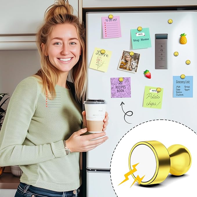 FINDMAG Fridge Magnet, Strong Kitchen Magnets for Refrigerator, Small Neodymium White Board Magnets Set, Decorative Refrigerator Magnet for Office, Kitchen, Classroom, Home Decor, Map, Pack of 14
