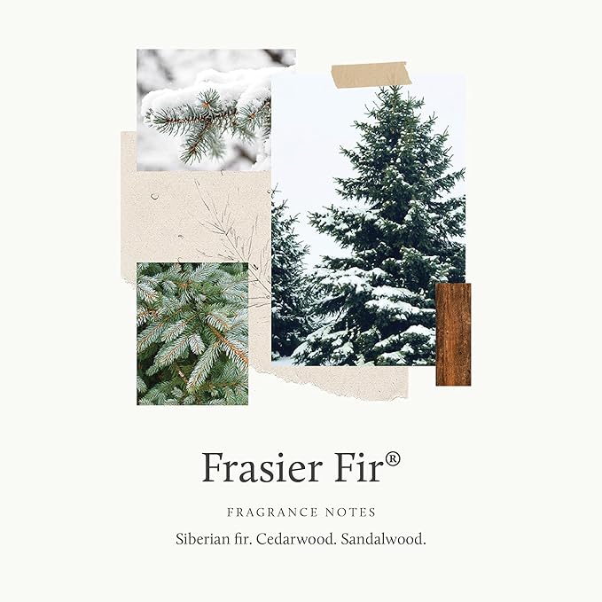 Thymes Frasier Fir Reed Diffuser Set – Includes Reeds, Fragrance Oil, and Frosted Glass Bottle – Fragrance Oil Diffuser – Room Fresheners – Luxury Home Decor – Green & Clear (Pine Needle, 4 fl oz)
