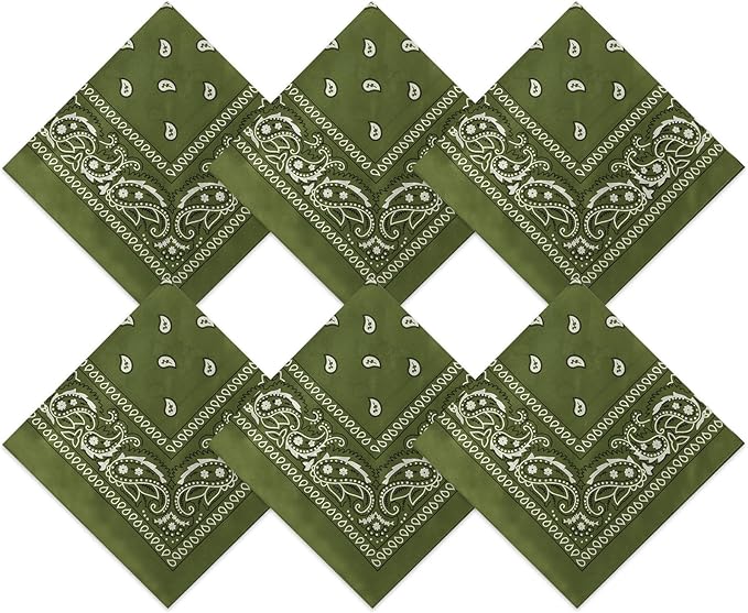 Blulu 6 Pcs Neon Color Cowboy Bandanas for Men Women Assorted Paisley Pattern Handkerchiefs 22 x 22 Inch Kids Headwrap Scarfs