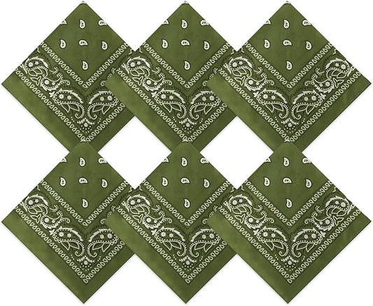 Blulu 6 Pcs Neon Color Cowboy Bandanas for Men Women Assorted Paisley Pattern Handkerchiefs 22 x 22 Inch Kids Headwrap Scarfs