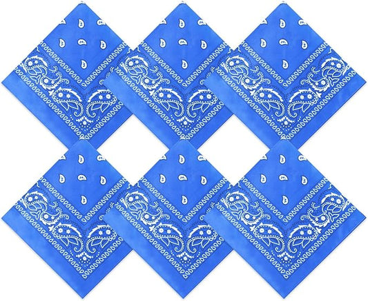 Blulu 6 Pcs Neon Color Cowboy Bandanas for Men Women Assorted Paisley Pattern Handkerchiefs 22 x 22 Inch Kids Headwrap Scarfs