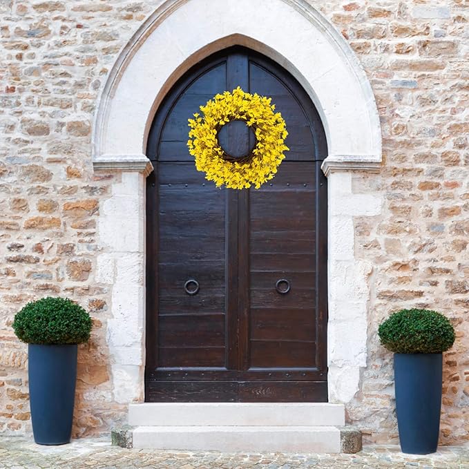 Huashen 24 Inch Yellow Forsythia Wreath Winter Front Door Blossom Cluster Flower Farmhouse on Grapevine for Festival Celebration Wall Window Decoration Home Christmas Décor