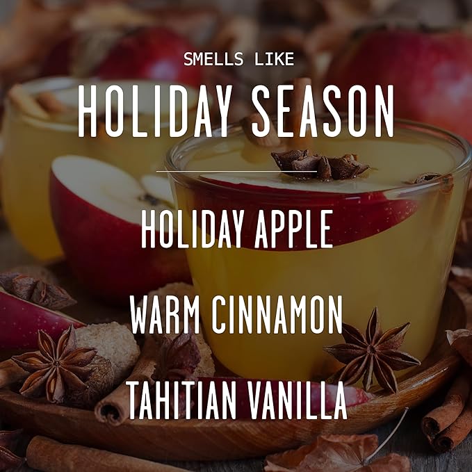 Holiday Diffuser, Holiday Reed Diffusers for Home Christmas Décor - w/Apple & Spice I Infused w/Essential Oils I 3.75 OZ Oil I Long-Lasting Scent Lasts 4-6 Month's I Made in The USA