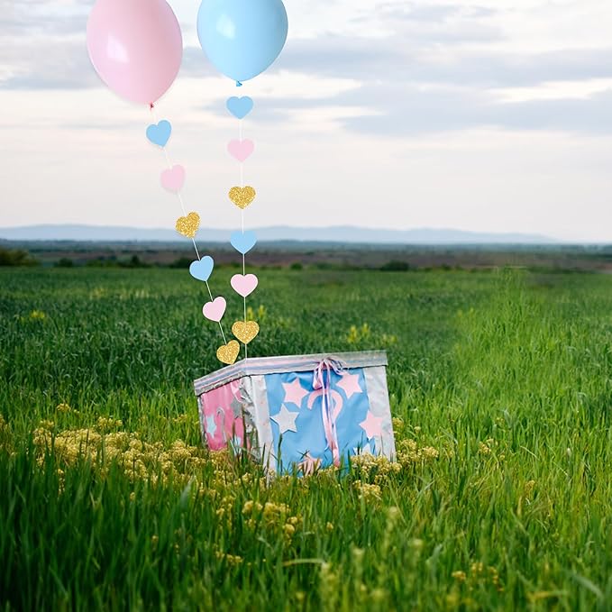 Boy or Girl Gender Reveal Decorations 6PC Pink Blue Balloon Tails with Heart Streamer Garland for Baby Shower Decorations