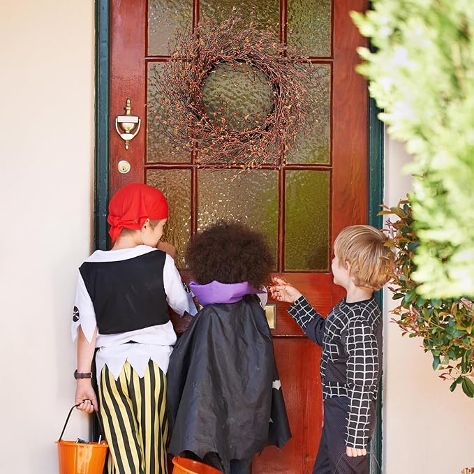 24 Inch Fall Wreath for Front Door with Large Grapevine, Orange Pip Berry Wreath for Fall Door Decor, Autumn Wreaths for Farmhouse Wall Window Home and Halloween Christmas Thanksgiving Decoration